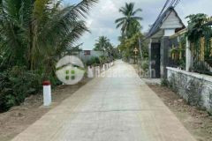 Cần bán đất vườn tại thạnh hoà