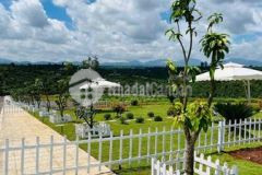 Cần bán miếng đất 10x50 giá 750 triệu