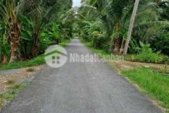 Mặt tiền đường nhựa 2b nhơn thạnh 5x29 6