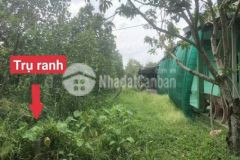 Bán nền chợ cái tắc giá rẻ