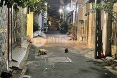 Bán nhà đặng văn ngữ phú nhuận 1trệt 2lầu