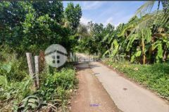 Bán 720m² 10x72 thổ 100 đan 2 5m mỹ quý