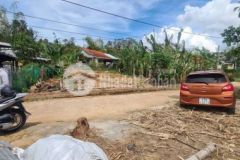 Điện hồng chợ lạc thành đươg 4m105m2