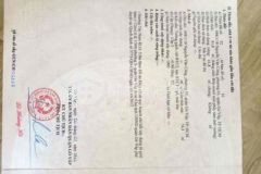 Bán nhà 498118 nguyễn văn công p3 quận gò vấp