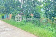 Eana krong ana 5x40m2 tc60m2 đường bê tông