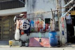 Bán dãy trọ 6 phòng 100m² q12 sổ riêng giá 4 5 tỷ