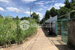 147m2 thổ cư bảo vinh long khánh