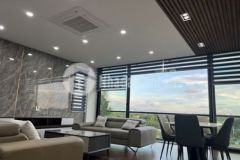 Biệt thự đảo sen gia thụy 6 tầng thang máy