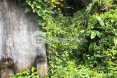 Nền đất vườn 10m dài 27m đường bà xáng bình khánh