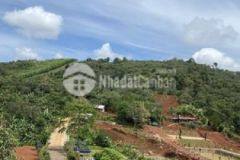 Bán hơn 8 sào đất ở trung tâm tp gia nghĩa