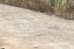 Đất giá trị cao mua ngay không sợ