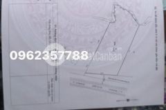 Cần bán đất mặt tiền 7000m2 53 5x140 giá 5ty