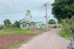 Gia đình còn 5 lô đường nhựa ấp 1 để giá đầu tư ạ