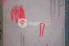 Bán 4.500m2 đất lộ 2m xã đông thuận, huyện thới lai, tp cần thơ