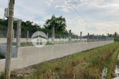 Đất thổ 700m2 huyện cần đước, long an giá 5ty350