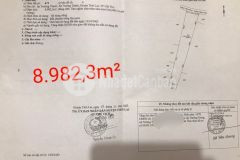 Bán đất 8.982m² lộ mới,xã trường thành, huyện thới lai, tpct lh 0939 961 661 thịnh