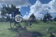 Cần bán gấp lô đất vị trí đắc địa giá rẽ hâp dẫn tại bảo lộc lâm đồng