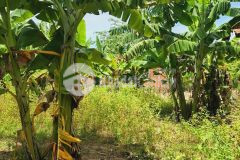 Đất sẵn thổ cư đường rộng 10m khánh hiệp khánh vĩnh chỉ 620 triệu