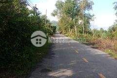 Cần bán gấp mặt tiền lộ nhựa đường vào mộ chị sứ cống kênh 7 1500m²