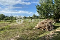 Bán 8459m² đất sào sông luỹ, gần ql1a, công viên safari, sổ sẵn, công chứng ngay