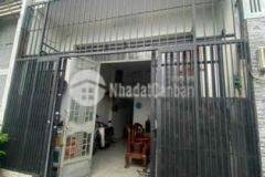 Trời ơi nó rẻ tìm đâu ra giá này