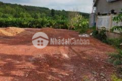Chủ bán lô đất thổ cư đường 15m giá 545đ sổ riêng