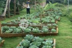 Cần bán lô đất thổ cư lộc ngãi view hồ