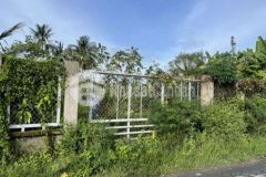 Bán đất mặt tiền đường nhựa 3m gò công tây