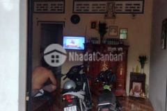 Nhà gần trường học khoản 100m