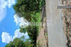 Bán đất công giá rẻ châu thành bến tre