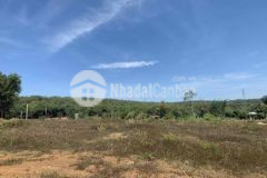 Đất xào thanh an bình phước có sổ sẵn