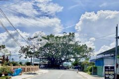 Dt 210m2 ngay tt tt nam phước tặng ngay 2 chỉ vàng