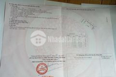 Hàng ngộp phước vĩnh an