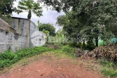 Đất mặt tiền dã tượng giá 1 lô chỉ trong hẻm