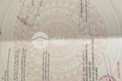 Đất làm trang trại hỗ trợ xin chủ trương