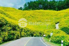 Bán đất view suối ngay trung tâm lộc an shr