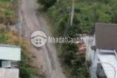 Đất chuyển nhượng luôn trong vòng một lúc