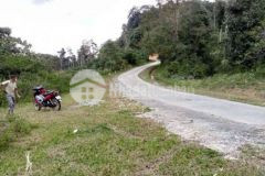 Đất vườn nghỉ dưỡng giáp suối