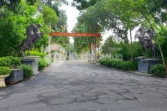 Đất đẹp cổ loa đông anh đường 7m ô tô tránh