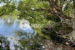 1hec 1 view hồ cực víp xã hoà phú kcn hoà phú