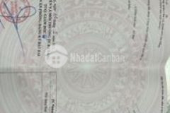 Bán nhà cấp 4 otto vào tận sân