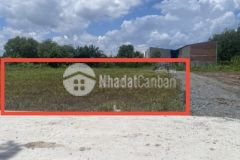 Chính chủ bán đất 1130m2 đất thị xã trãng bàng