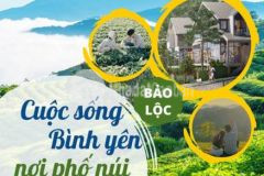 Đất nền bảo lộc đất thổ cư có sổ hồng riêng giá 4t