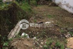 Bán đất ấp bình phong xã tân mỹ chánh