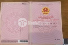 Nền đẹp hưng phú cạnh đường lý thái tổ