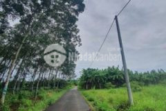 Đất hồ kim long dt 3 sào mt đ nhựa 1 5 tỷsào