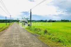 Đất nền 200m2 bán nhanh giá 150trm đường nhựa 8m