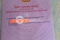 Đất ở 365 m2 ấp 5 long hòa ngã tư rạch kiến