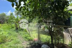 Hàng f0 chưa qua đầu tư