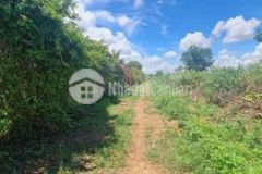 Hồng sơn hàm thuận bắc đất 02 mt 1 8tỷ tl